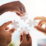 TB - Website - Image Puzzle 06 (20260630)
